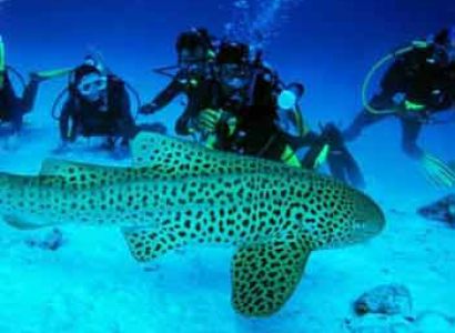 Ultimate Andaman Adventure Tour
