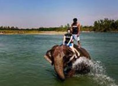 Group Tours / Nepal - Pokhara - Chitwan Park