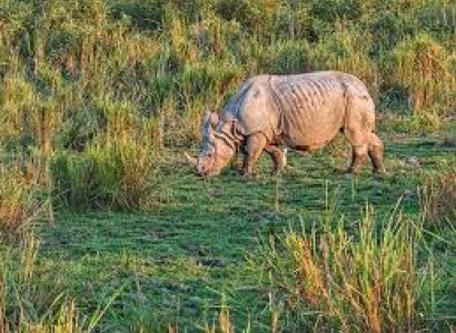 4 Days Land of Rhino Tour