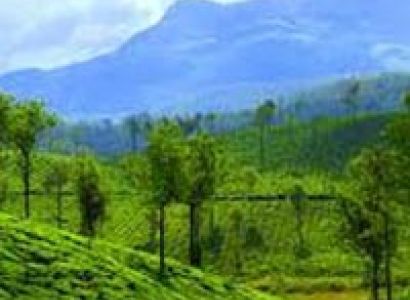 Hill Stations of South India Tour