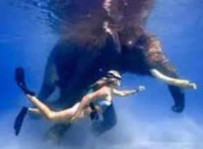 Memorable Andaman’s Tour