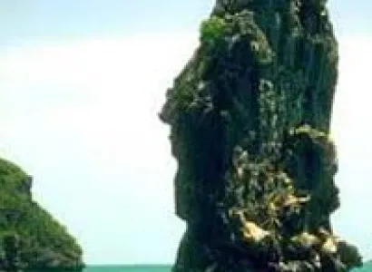 Lazy Days Dream Tour