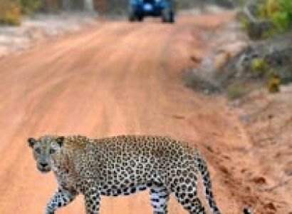 Best of Sri Lanka Tour