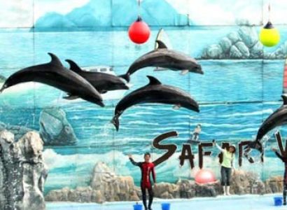 Thailand Bangkok Tour