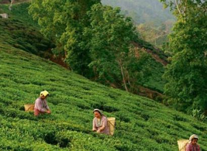 Darjeeling 2 star Package for 4 Days Tour