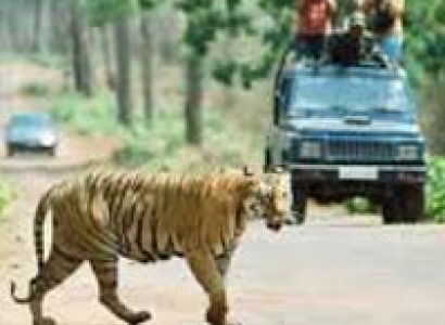 Week end Simlipal National Park Tour