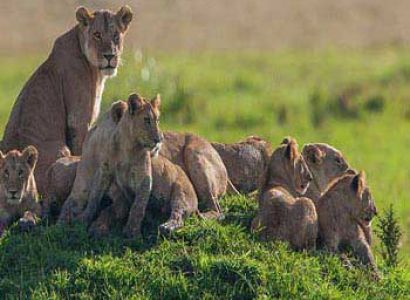 Archeological & Historical Sites Tours Package