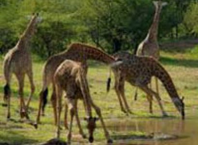 Beach Holiday - Historical Sites Tour