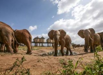 3 Days Azure Masai Mara Road Safari Tour