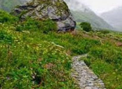 Chandigarh - Sarahan - Kalpa Tour