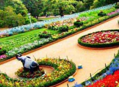 Ooty Tour