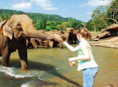 Srilanka Tour - Awesome Lanka