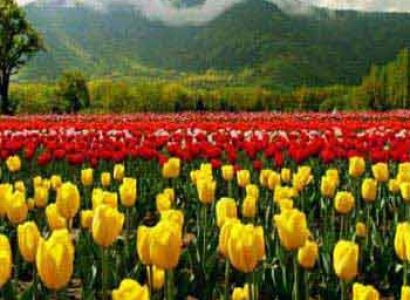 Explore Kashmir With Vaishnodevi Package