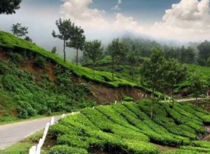 Mystic Munnar Tour