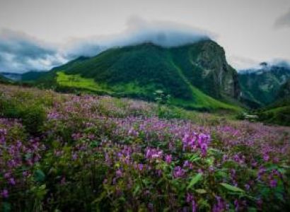 05 days Gangtok with Yumthung Valley Tour