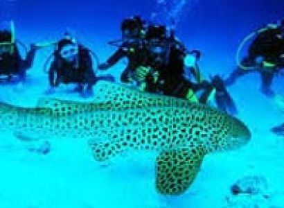 Memorable Andaman’s Tour