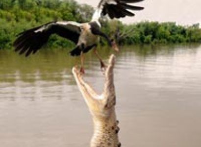 Winter Odisha Package