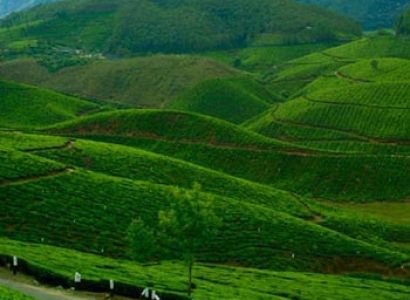Kerala Delights Tour