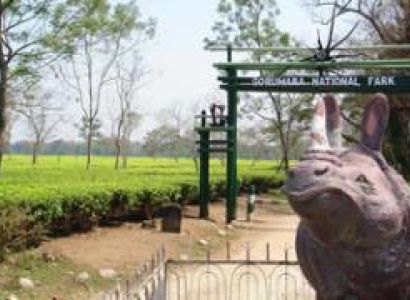 Adventurous Dooars Tour