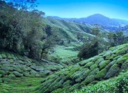 Luxurious Getaway to Darjeeling Tour