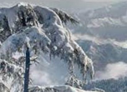Shimla Short Escape Package