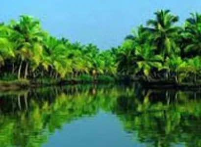 3 Days Wayanad Tour with Vythiri Tree house