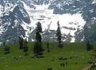 Shivkhori package with Patnitop 