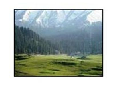 Srinagar - Pahalgam - Gulmarg Nature Paradise Tour