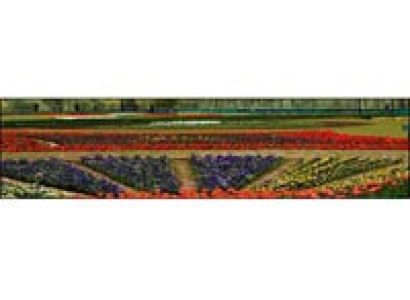 jammu and Kashmir Spellbinding sceneries and Gardens Tour