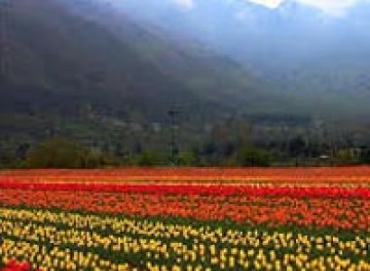 kashmir honeymoon with hill station after Darshanof Maa Vaishno Devi