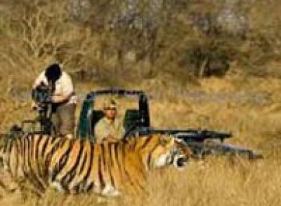 Rajasthan Wildlife Tour