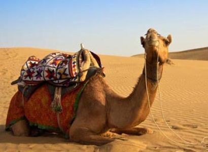 Rajasthan Desert Safari Tour