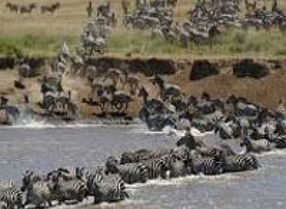 Maasai Mara package