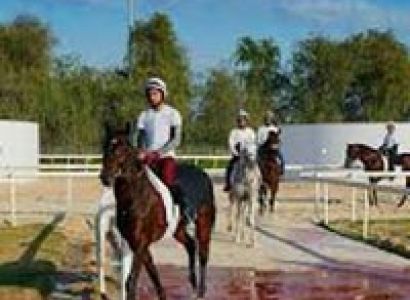 Horse Stable Visit Tour