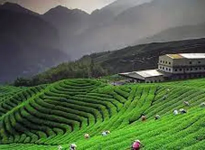 7 Night & 8 Days Nainital 02N- Kausani 03N -Sonapani 02N stay