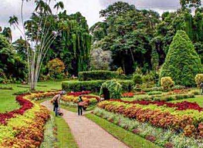 Best Of Sri Lanka Package