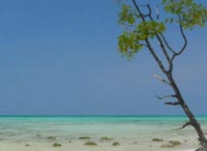Happy Holidays In Andaman Islands Tour