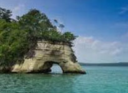 Best Cove Beach Tour