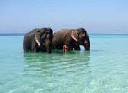 Andaman Look Package