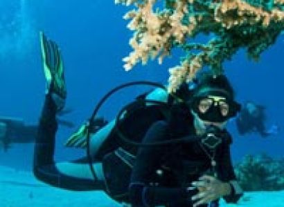 Andaman Glance Tour Package