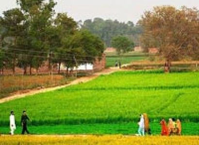 Punjab Tour (7 Nights/8 Days)