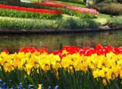 Skiing in Gulmarg Tour