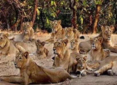 Wildlife & Beach Tour