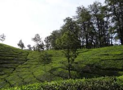 Aesthetic Kerala Tour