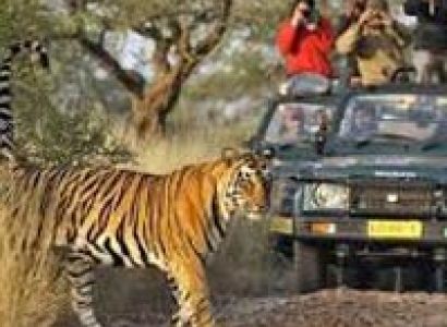 Wildlife with touch of culture Tour