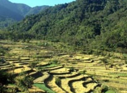 Assam Nagaland Tribal Tour