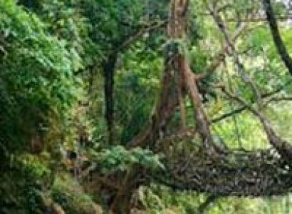 7 Days Guwahati with Shillong Tour