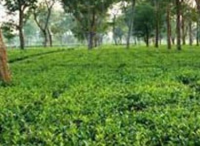 Southern Arunachal Tribal Tour