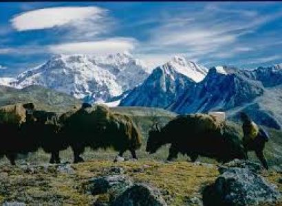 Glimpse of Bhutan Tour