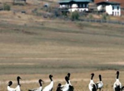 Trip to Bhutan - 07 Days / 06 Nights Tour Package